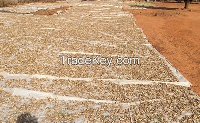 Dried Split Ginger