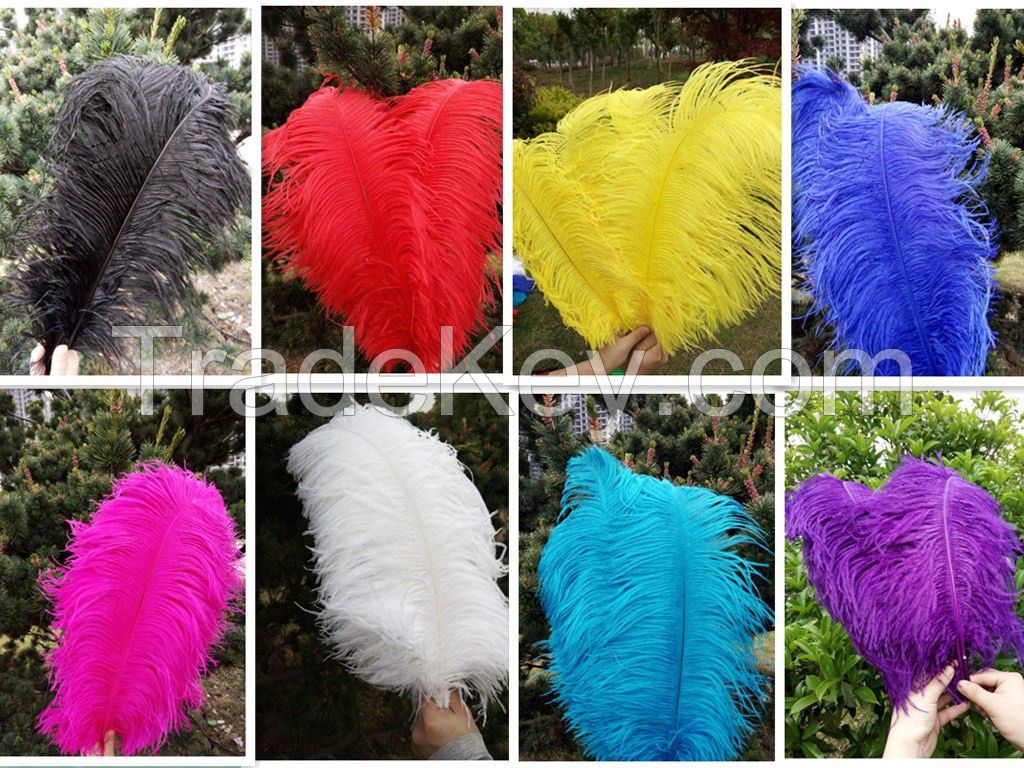 Ostrich feathers