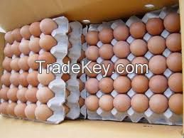 Fresh Brown Chicken Eggs