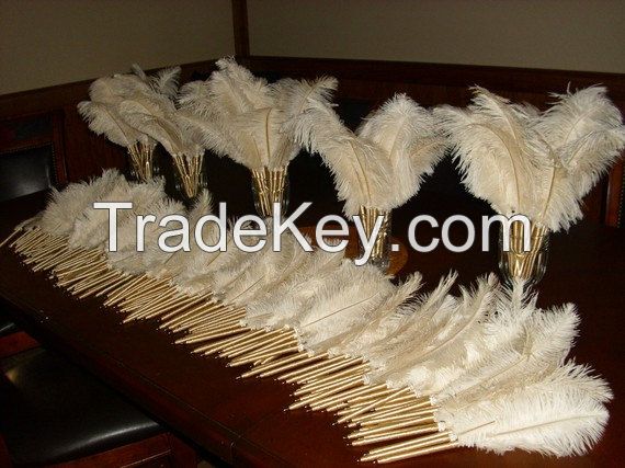 ostrich feather wholesale For Sale