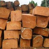 Kosso wood - Rose wood - PTEROCARPUS ERINACEUS Logs - squared logs - Timber - Lumber - Boards