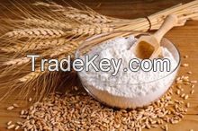 Wheat Flour ( All Purpose )