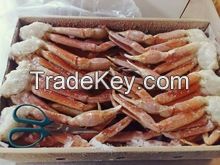 Live King Crabs / Frozen King Crab