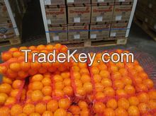FRESH ORANGES Navel and Valencia Oranges