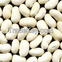 Pure White Kidney Bean Extract