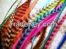 Mixed Colorful Grizzly Rooster Feathers for Hair Extension