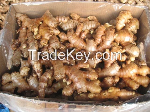 High quality ginger from Vietnamese supplier