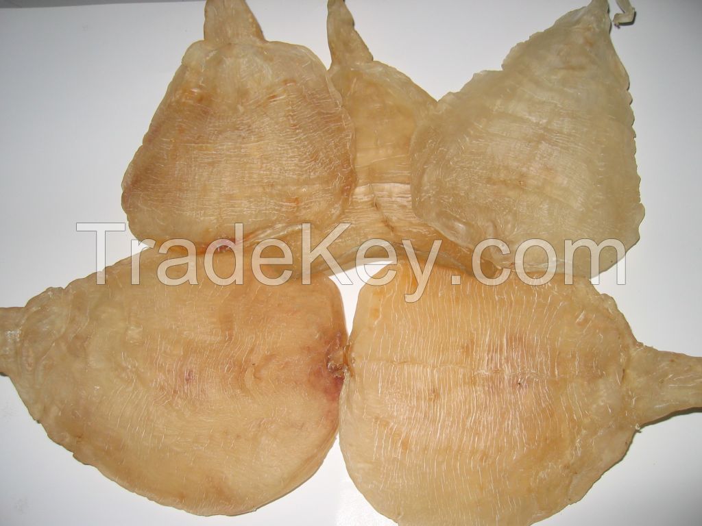 Fish Maw, Swim Bladder, Gas Bladder, Air Bladder at reasonable price