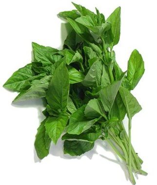 Special Basil For Sales From Vietnam