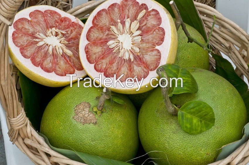 POMELO_Many Benefits and Best Price