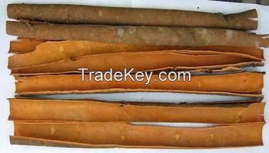 Cinnamon For Sale With Special Price
