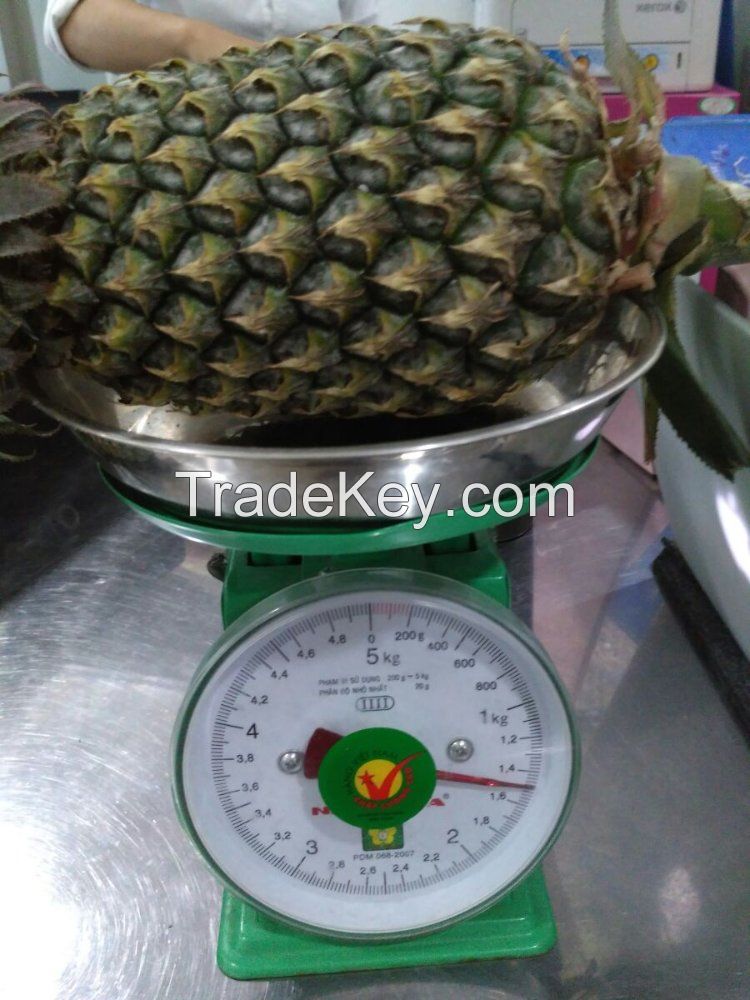 Pineapple_Season is coming