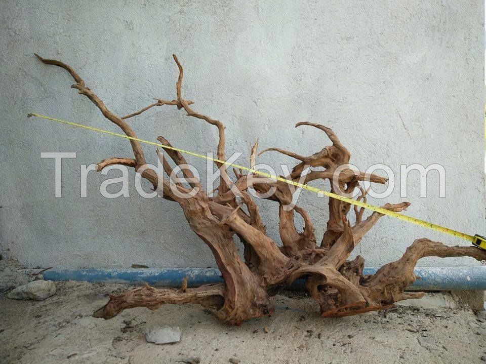 Driftwood For Sale