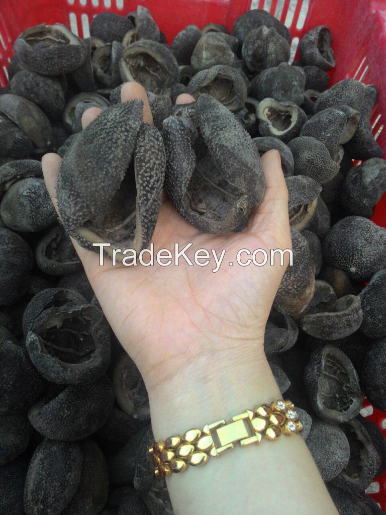 Dried Ping Pong Sea Cucumber For Sale