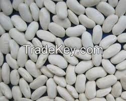 white kidney beans for sale