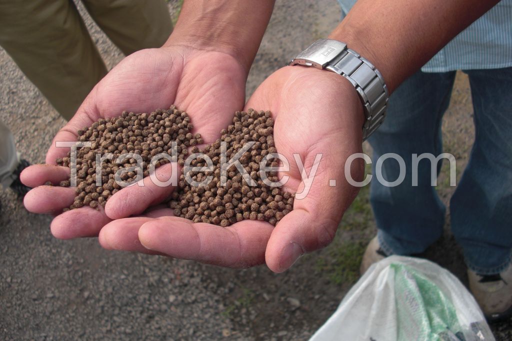 Fish meal 50%-75%/animal feed