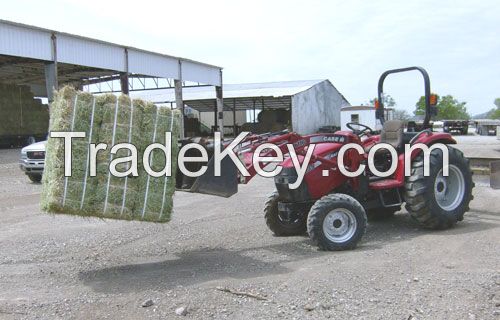 Alfalfa Hay Animal Feed