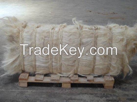 Natural Sisal Fiber From Kenya Good Price, 100KG, 200kg bales