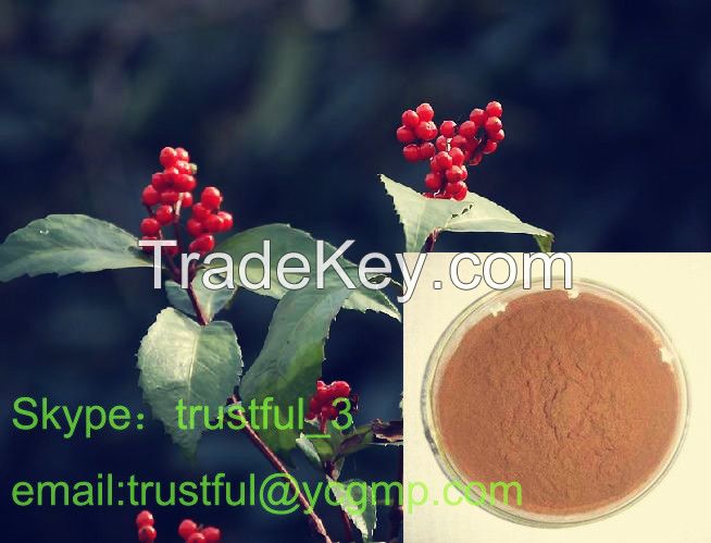 Sarcandra Glabra Extract