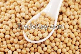 WE SELL AND EXPORT SOYBEANS TO ANY COUNTRY