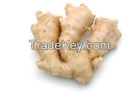 WE SELL AND EXPORT GINGER