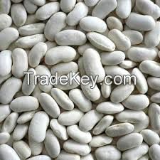 Export of beans and oilseeds from Ukraine