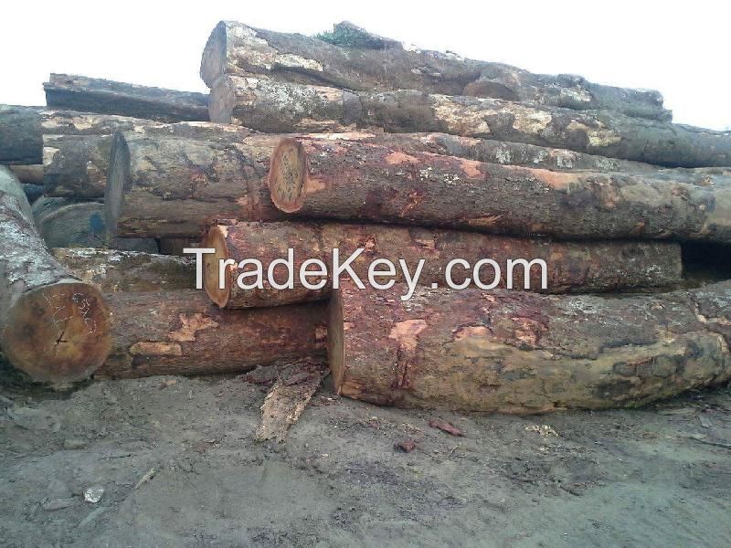 Tali lumber price