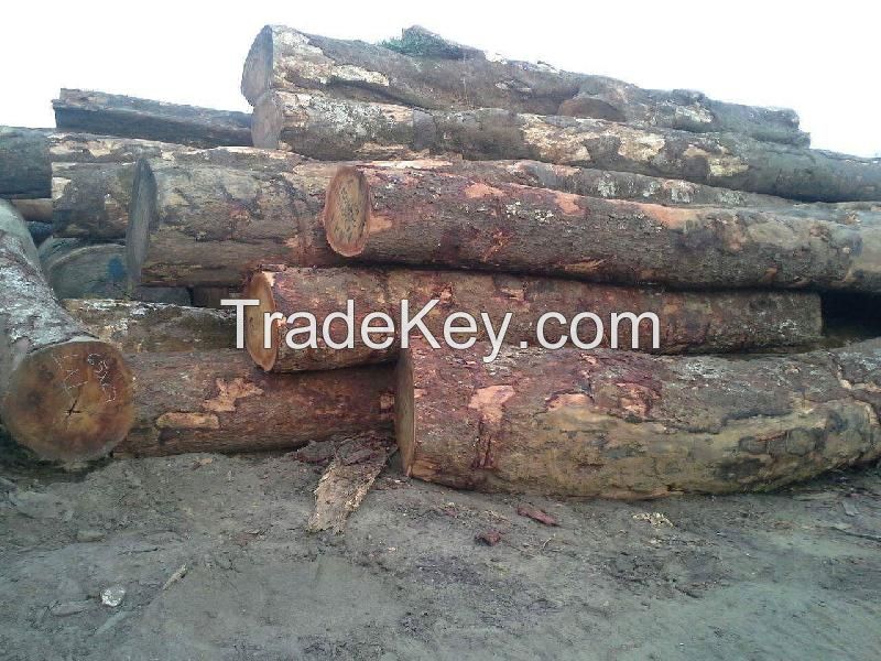Tali wood logs