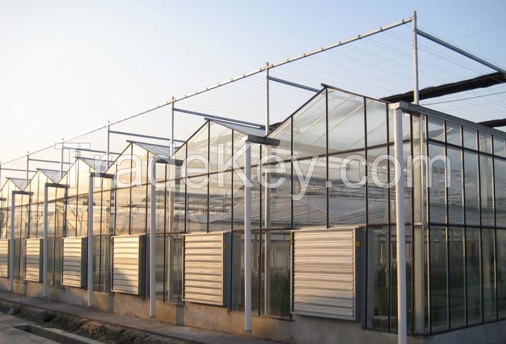 Beautiful and Practical Venlo Glass Greenhouse