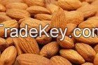 Raw Almonds Nuts, delicious and healthy Raw Almonds Nuts Almond/Apricot Kernels