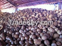 Betel Nuts for sale