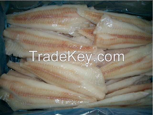 Alaska Pollock