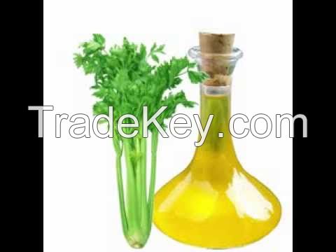 Celery Seed Oil