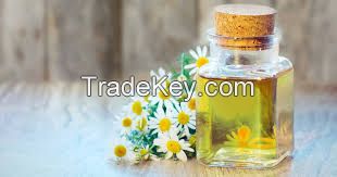 Chamomile Oil