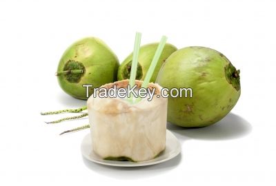 Coconut Water