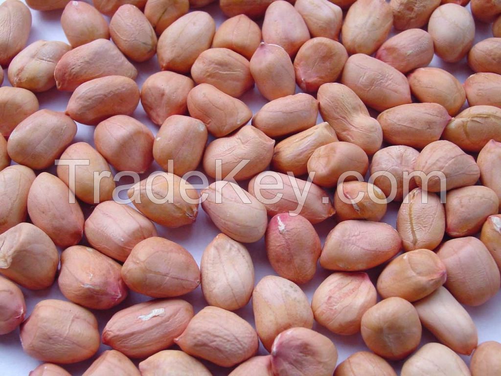 Peanut kernels