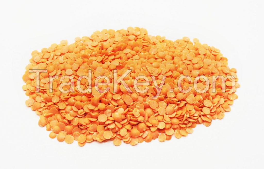 Red lentils ( whole and split available)