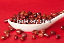 Red Kidney Beans