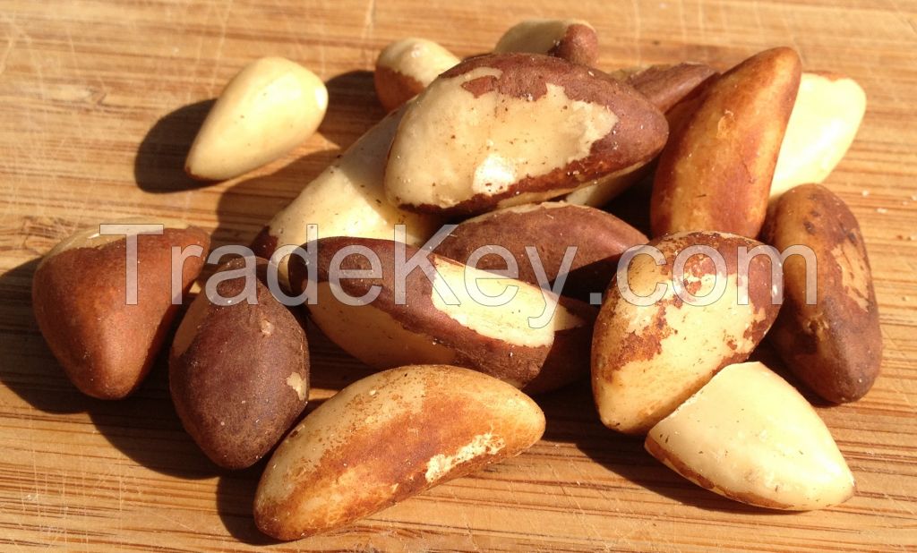 Brazil Nuts