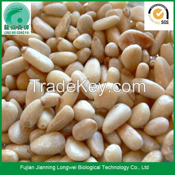 Chinese raw shelled pine nuts prices