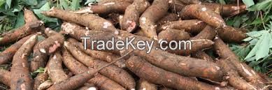 Fresh Cassava, Potato, Broccoli all fresh vegetable Best Grades