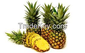 Premium Fresh Pineapple for sale