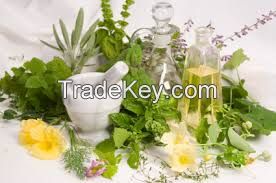 Herb Medicine