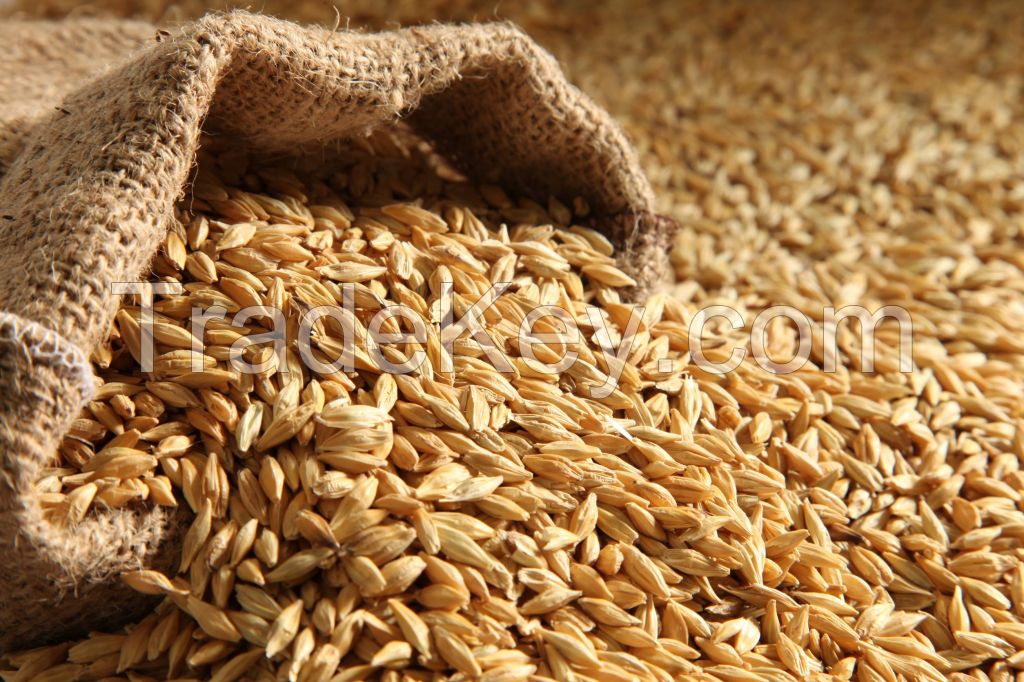 Barley and Wheat Bran