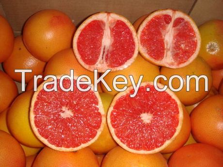 Canned Red Grapefruit