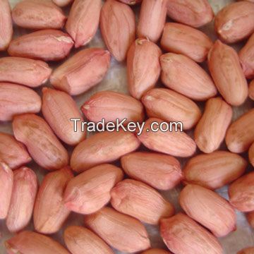 Peanut kernels