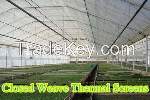 50% Shading rate greenhouse thermal screen for diffusion and energy saving