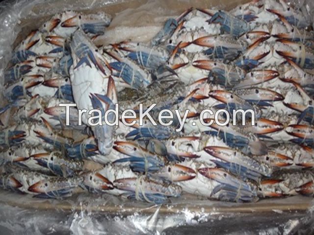 Fresh-Frozen Blue Crab