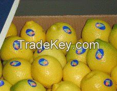 Fresh Eureka Lemon, Limes, Lemon, Avocado and Apples on hot sales