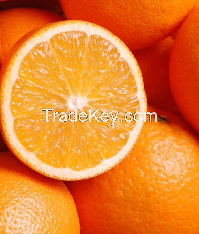 Sell Seasonal Fresh Pure Oranges for Juice